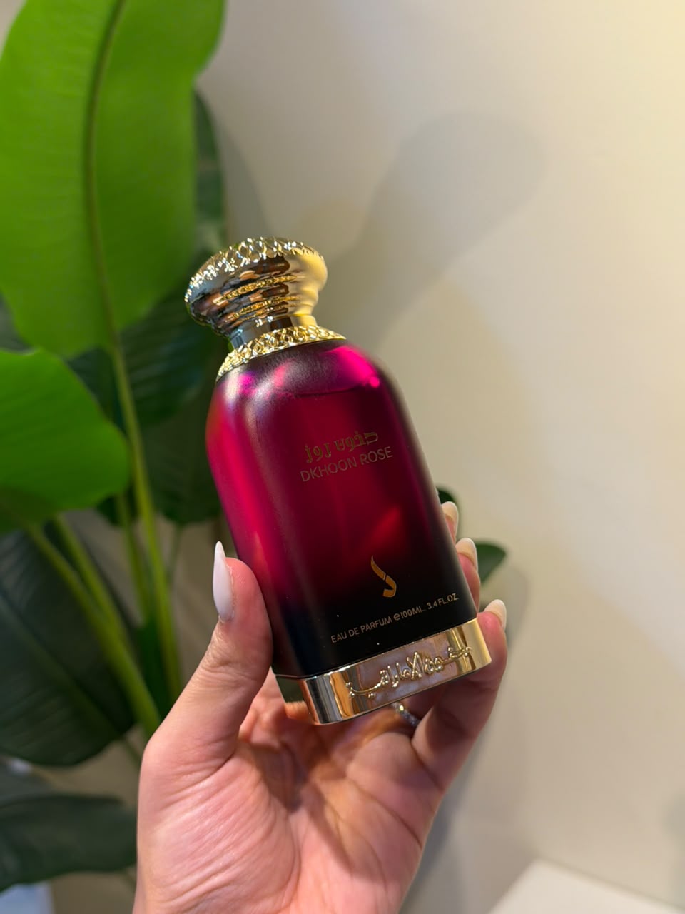 Dkhoon Rose