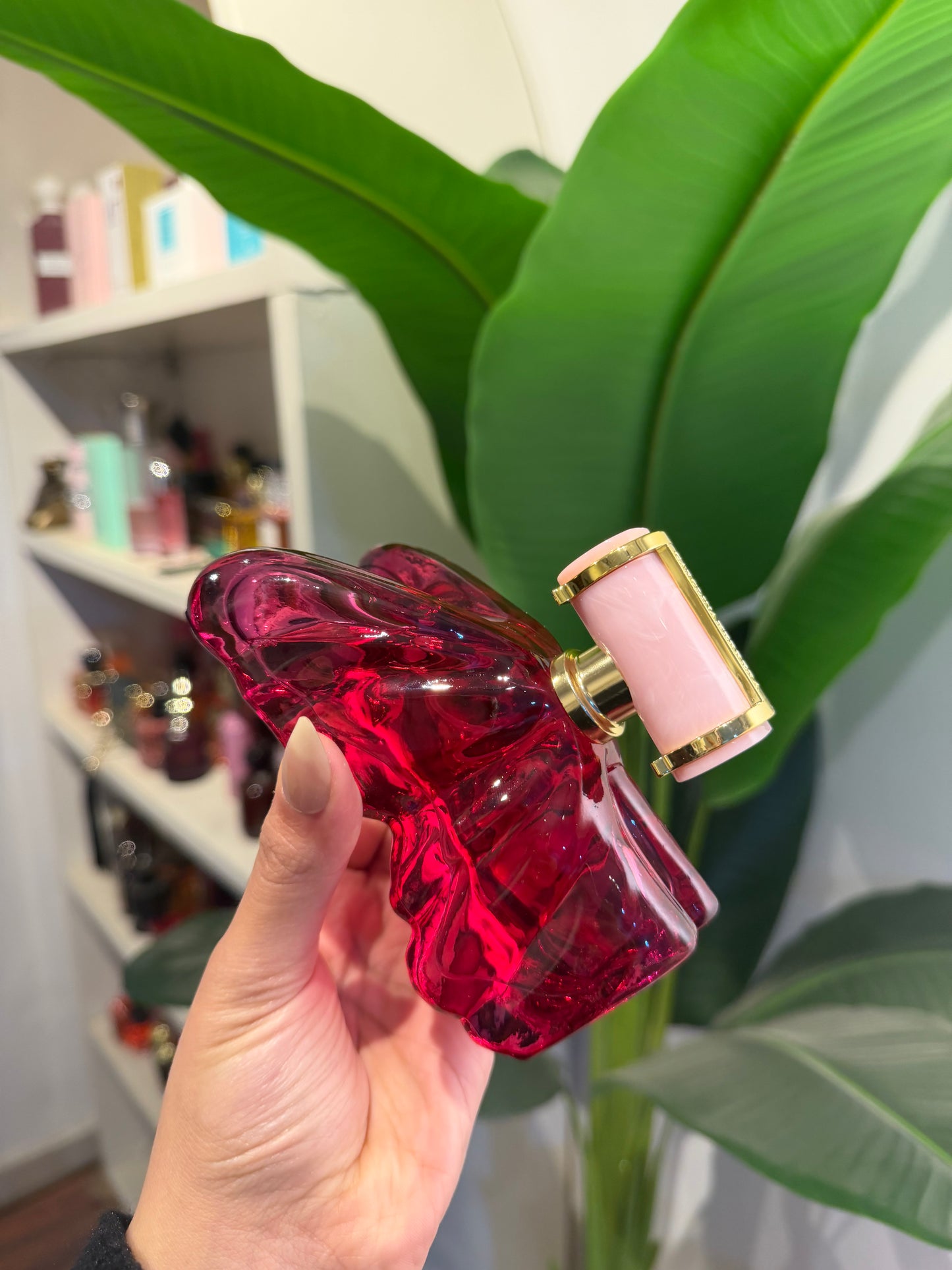 ⸻

✨ La Bomba – by Carolina Herrera